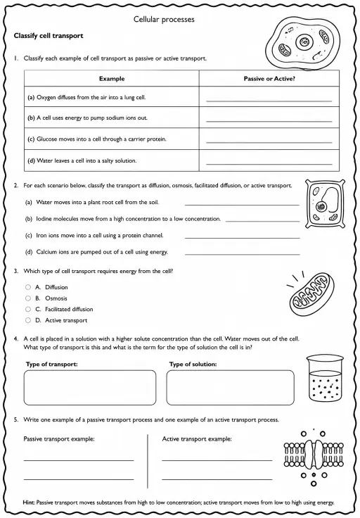 Classify cell transport