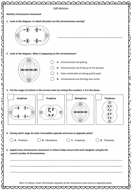 Identify chromosome movement