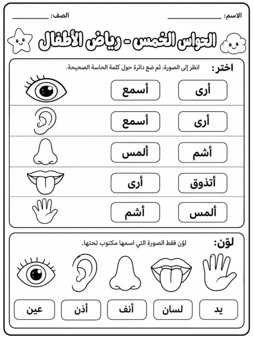 الحواس الخمس - رياض الأطفال