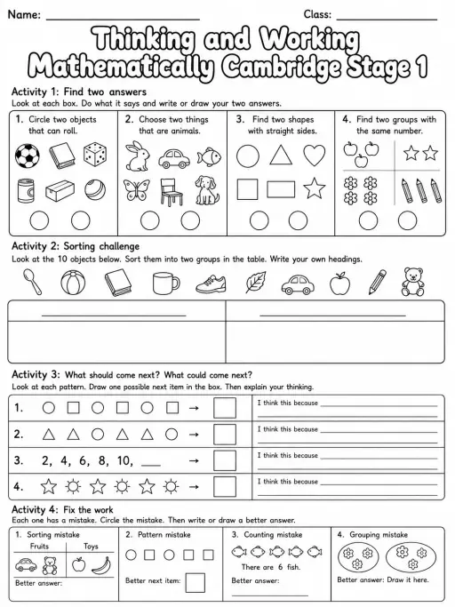 Thinking and Working Mathematically Cambridge Stage 1