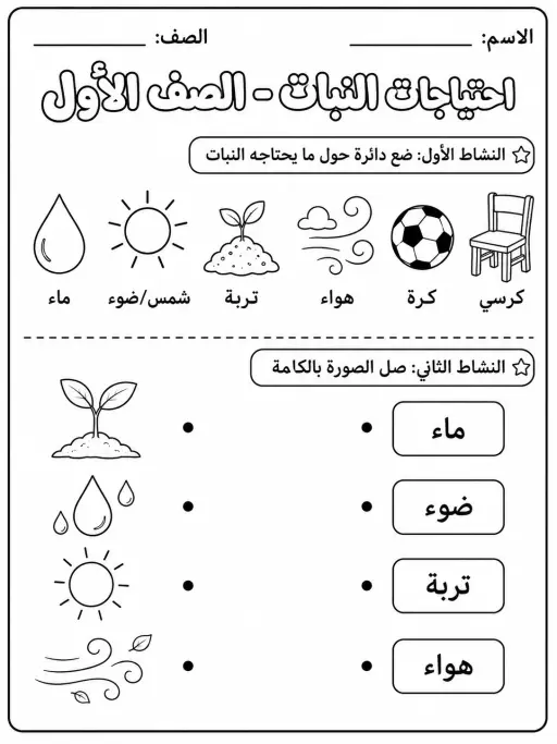 احتياجات النبات - الصف الأول