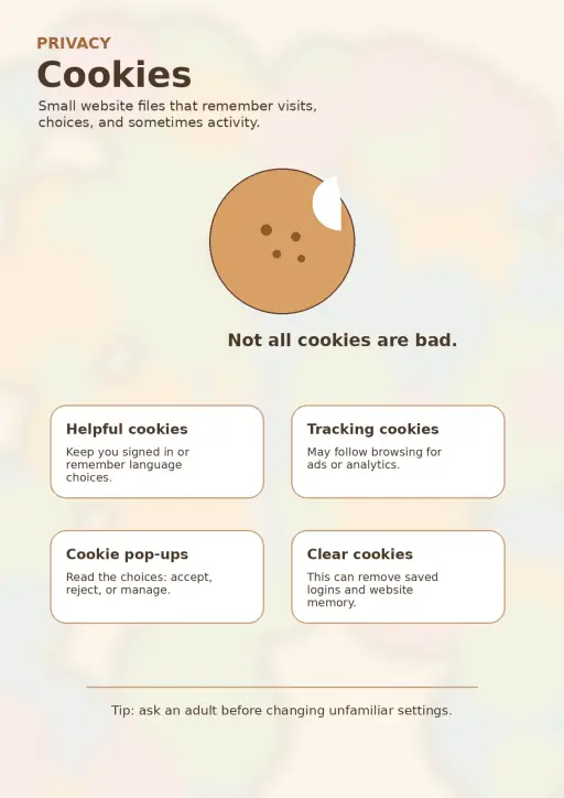 Privacy Infographic