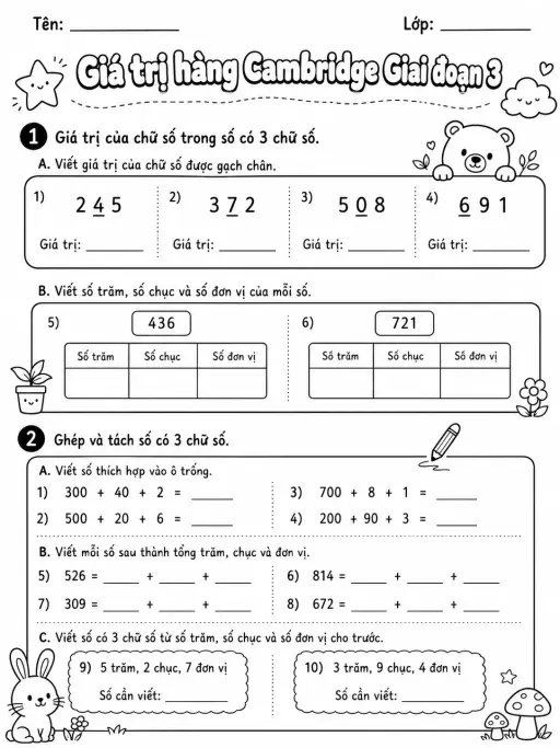 Phân số Cambridge Giai đoạn 3 - Gói bài tập 31