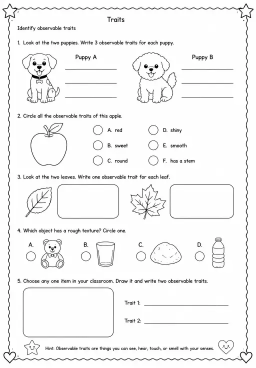 Identify observable traits