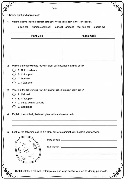 Classify plant and animal cells