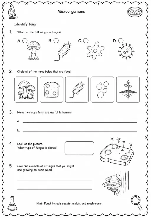 Identify fungi