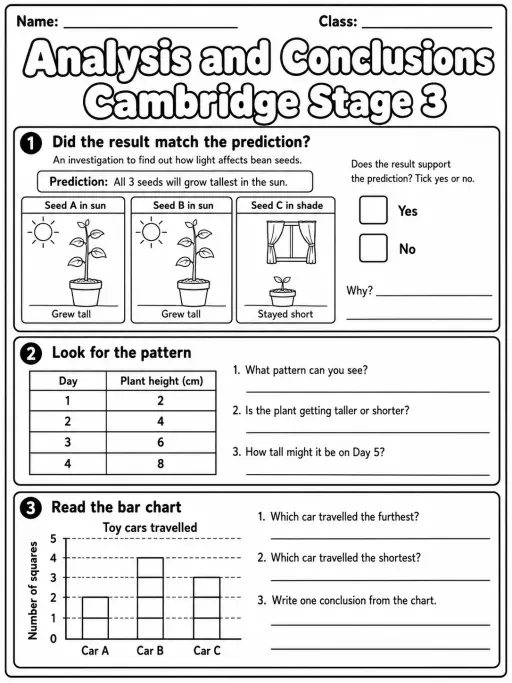 Analysis and Conclusions Cambridge Stage 3