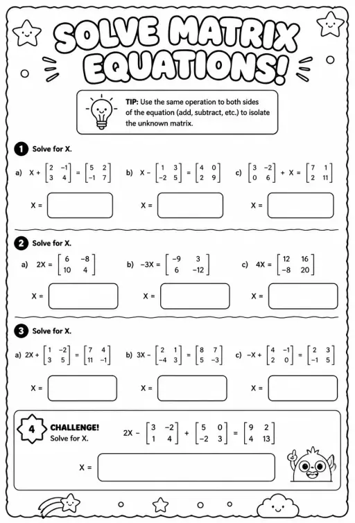 Solve matrix equations