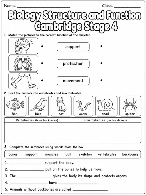 Biology Structure and Function Cambridge Stage 4