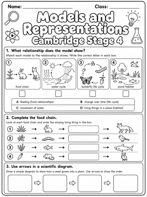 Models and Representations Cambridge Stage 4