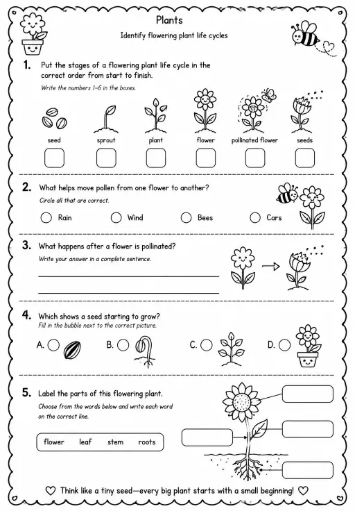 Identify flowering plant life cycles