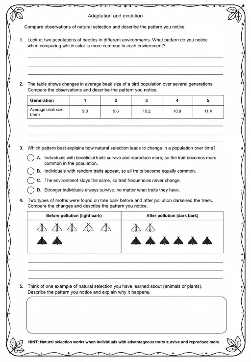 Compare observations of natural selection and describe the pattern you notice