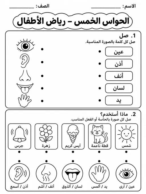 الحواس الخمس - رياض الأطفال