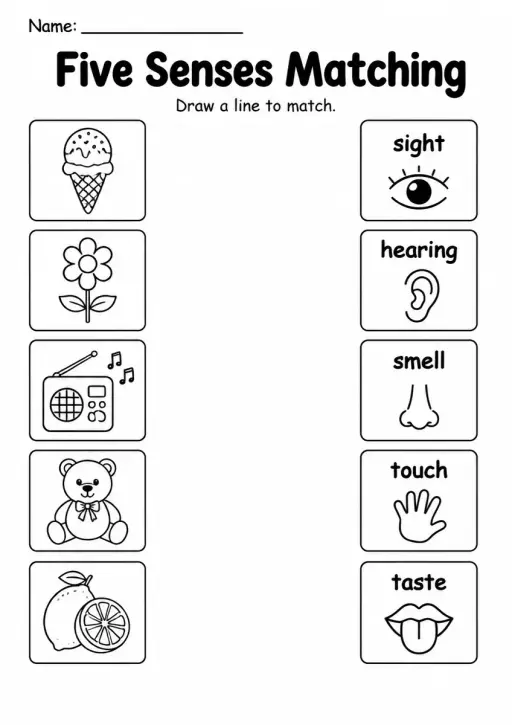 Five Senses Matching — Grade 2