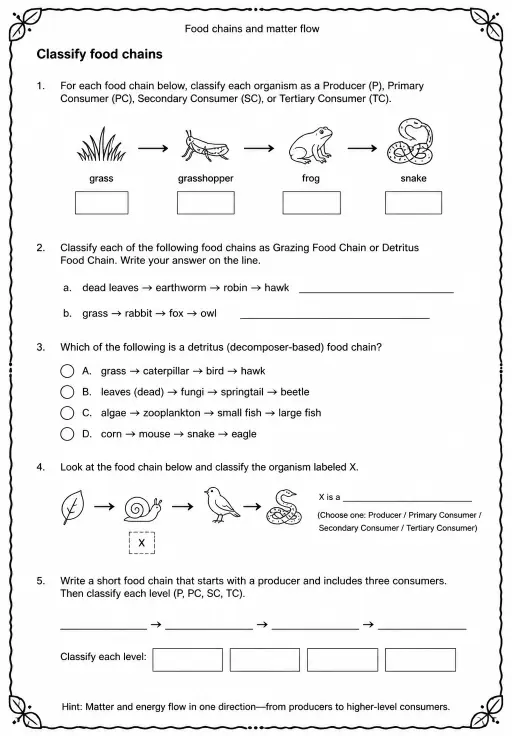 Classify food chains