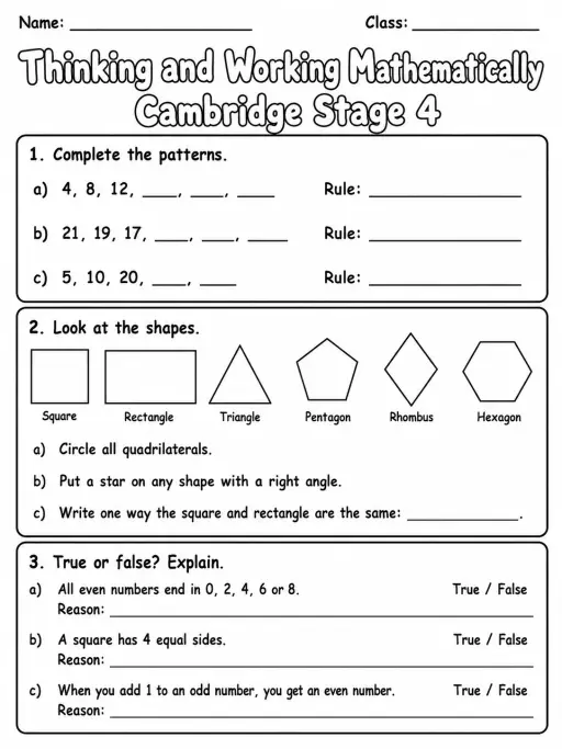 Thinking and Working Mathematically Cambridge Stage 4