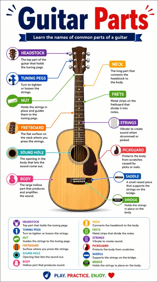 Guitar Parts Infographic