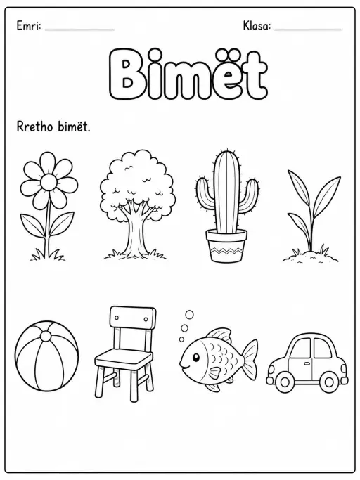 Bimët - Pako fletësh pune - Grupi 2