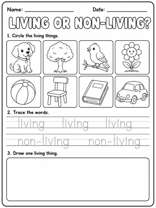 Living or Non-Living? Worksheet Pack