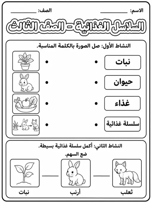 السلاسل الغذائية - الصف الثالث