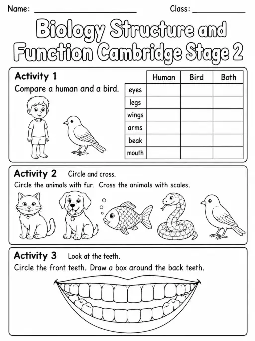 Biology Structure and Function Cambridge Stage 2