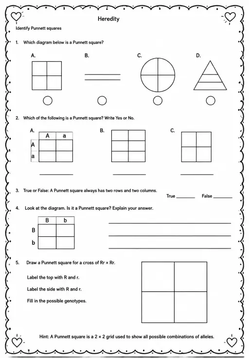 Identify Punnett squares