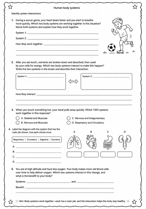 Identify system interactions