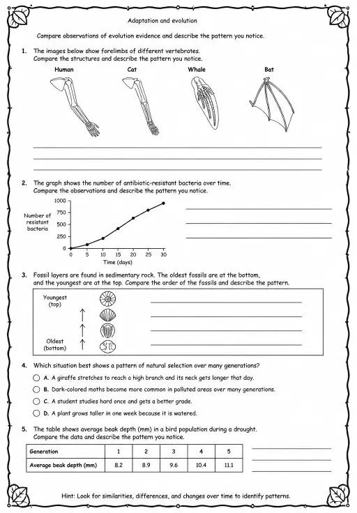 Compare observations of evolution evidence and describe the pattern you notice