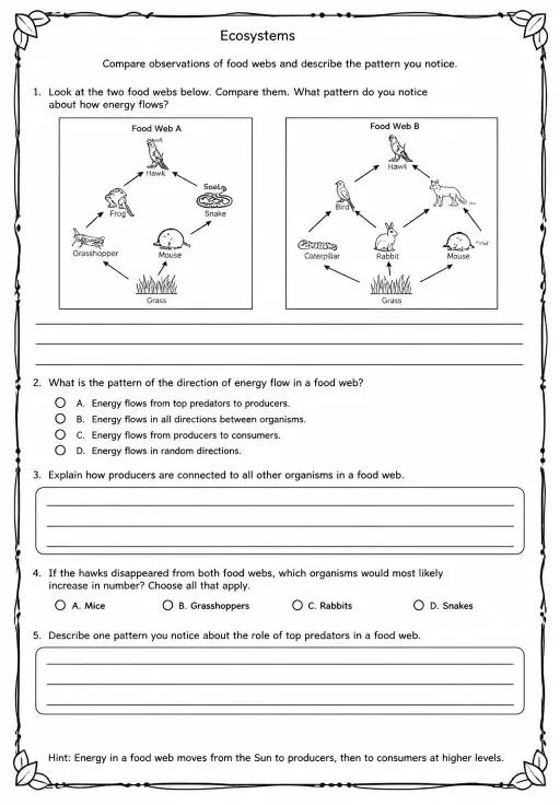 Compare observations of food webs and describe the pattern you notice