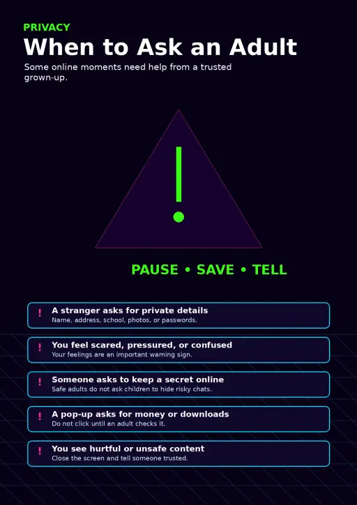 Privacy Infographic