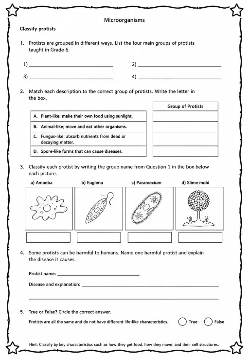 Classify protists