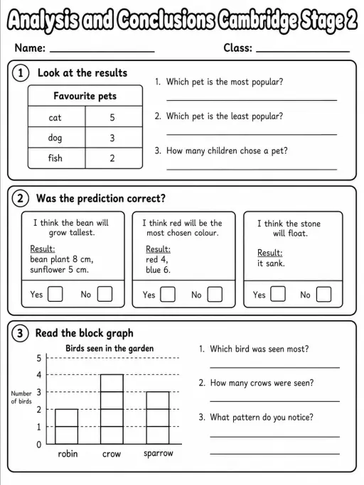 Analysis and Conclusions Cambridge Stage 2