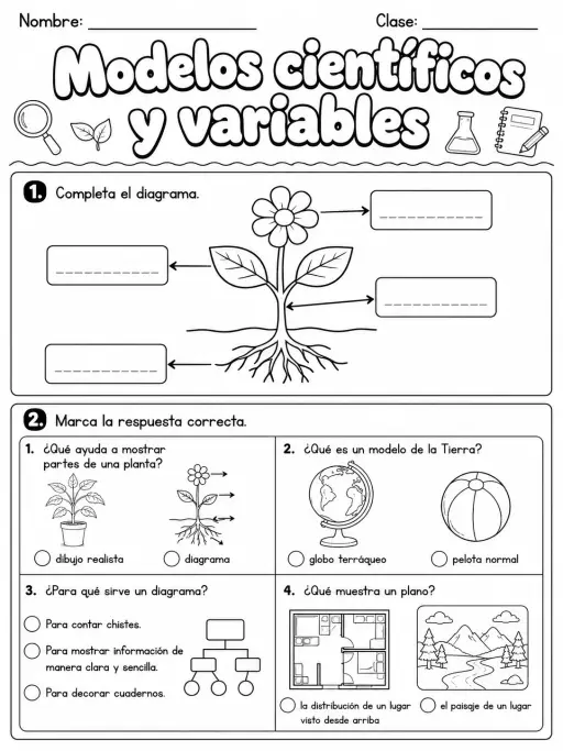 3.º grado - plantas - Paquete de fichas - Conjunto 2
