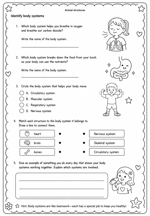 Identify body systems