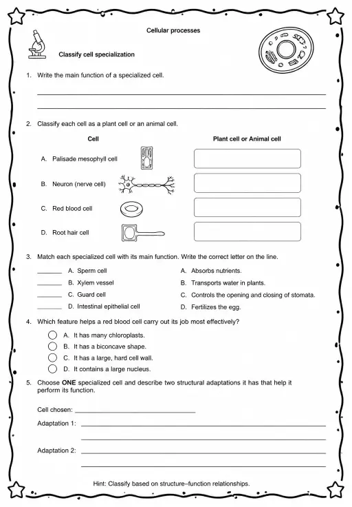 Classify cell specialization