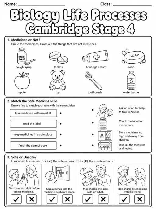 Biology Life Processes Cambridge Stage 4