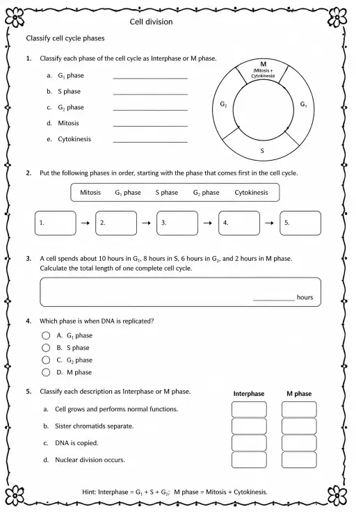 Classify cell cycle phases