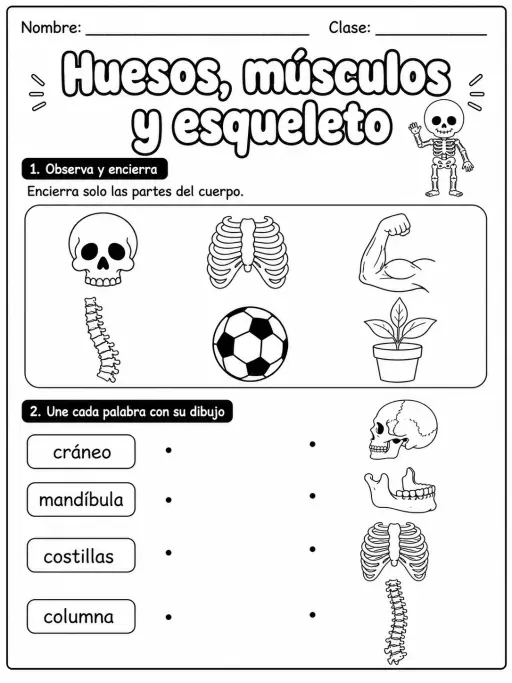 1.º grado - cuerpo humano y salud - Paquete de fichas - Conjunto 4