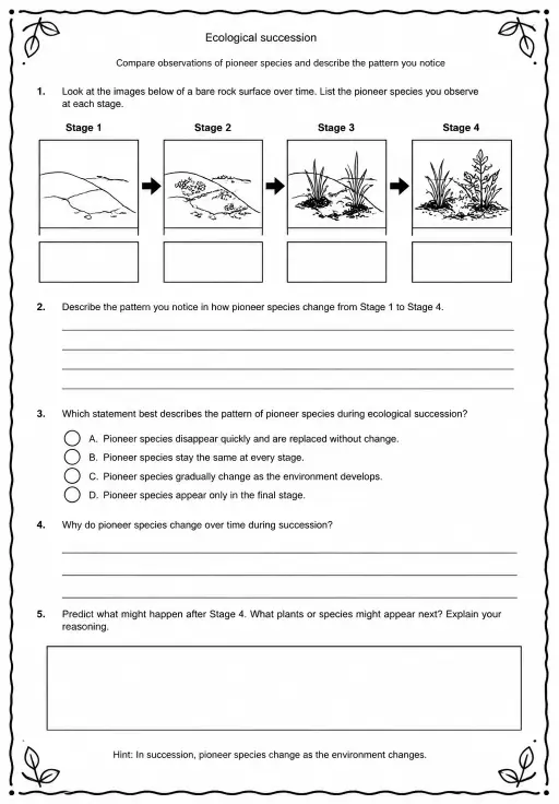 Compare observations of pioneer species and describe the pattern you notice