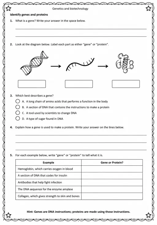 Identify genes and proteins