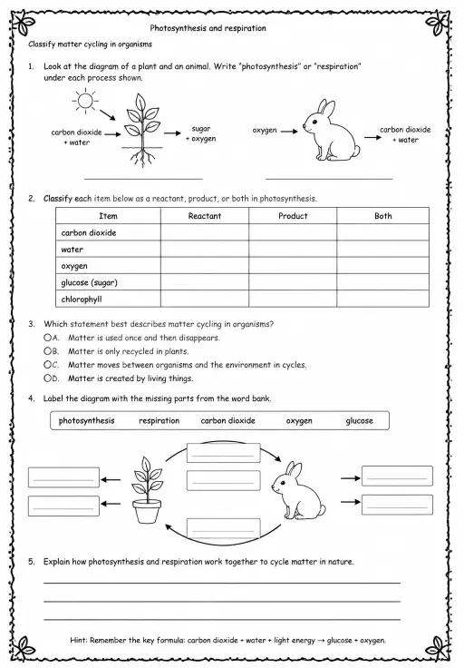 Classify matter cycling in organisms