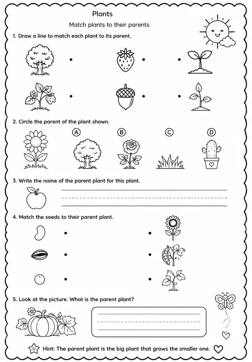 Match plants to their parents