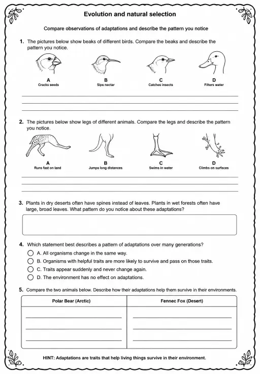Compare observations of adaptations and describe the pattern you notice