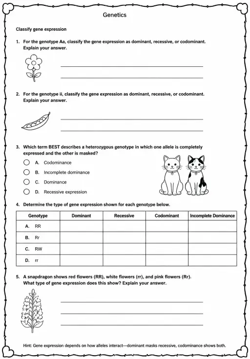 Classify gene expression