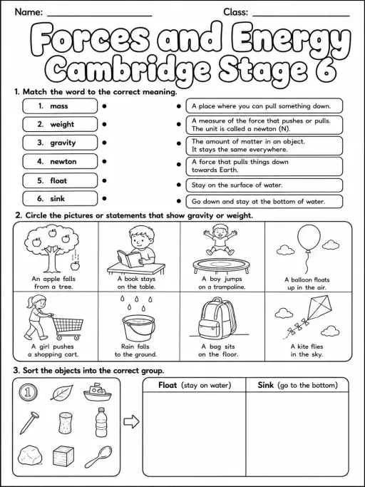 Forces and Energy Cambridge Stage 6