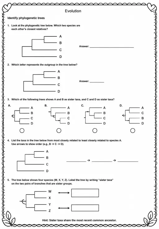 Identify phylogenetic trees