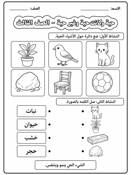كائنات حية وكائنات غير حية - الصف الثالث