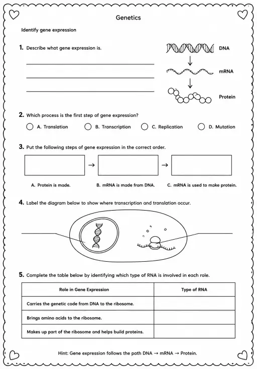 Identify gene expression