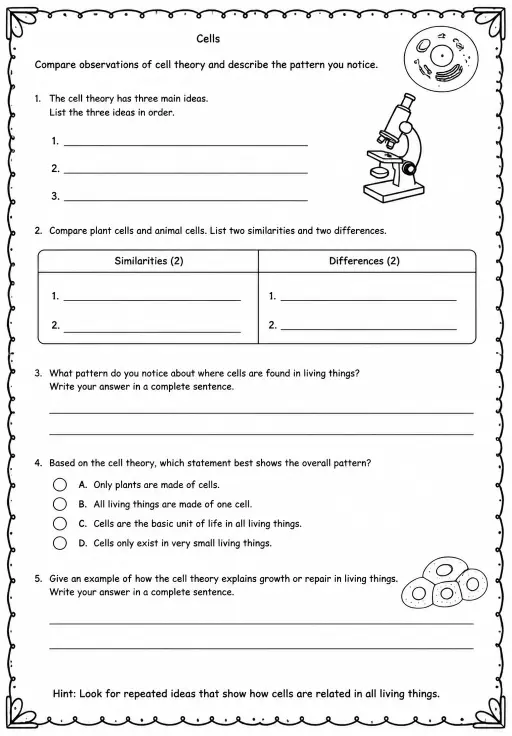 Compare observations of cell theory and describe the pattern you notice