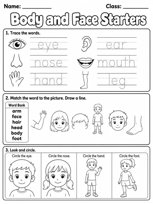 Body and Face Starters Vocabulary Worksheet Pack